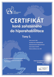 Tony certifikát